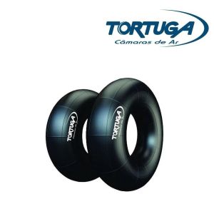 CAMARA 20.8-42 TORTUGA - TORTUGA